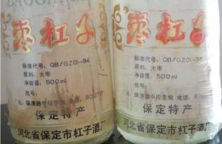 科技賦能傳統釀造 河北農大破解棗酒甲醇超標難題，異丙醇研究取得突破